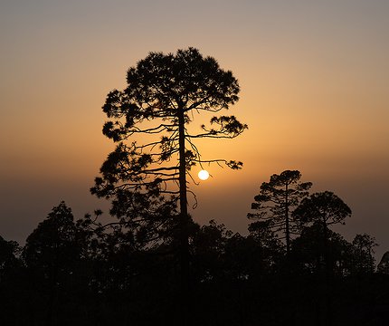 Sonnenuntergang mit Calima (Wüstenstaub)