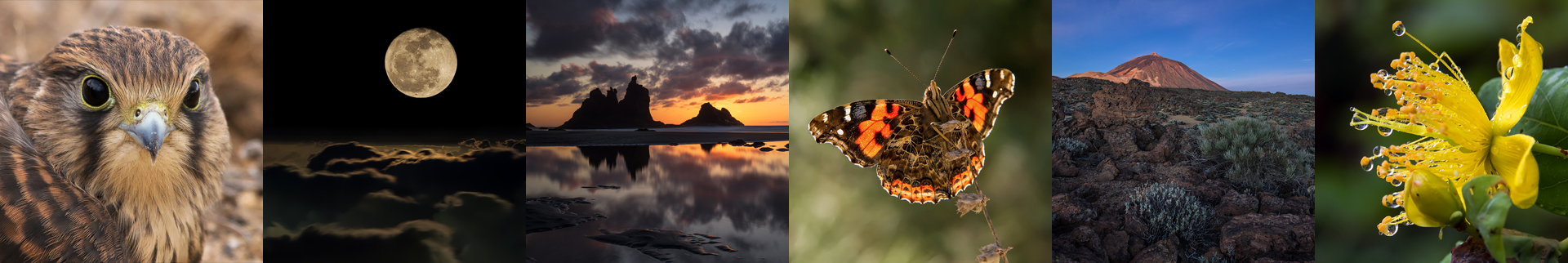 workshops photo header