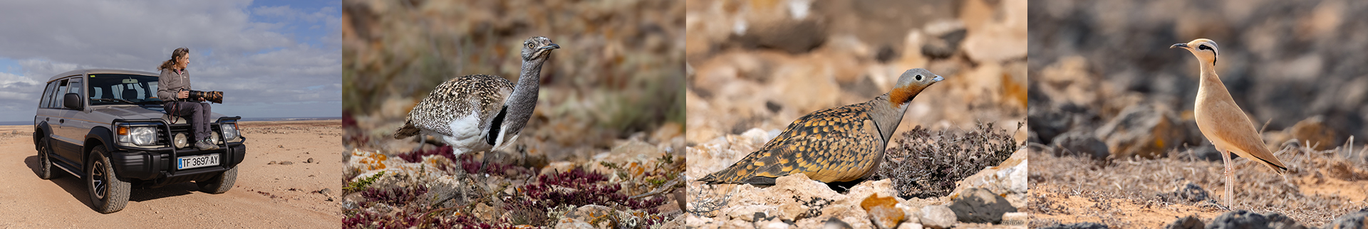 workshops photo header