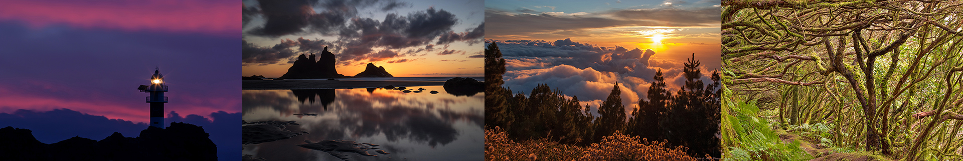 workshops photo header