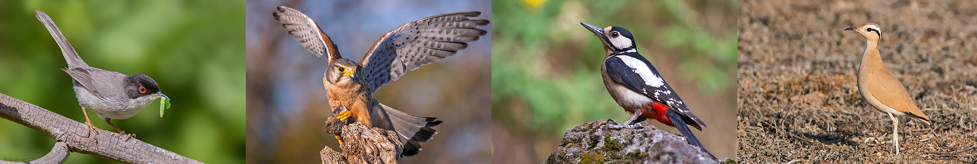 workshops photo header